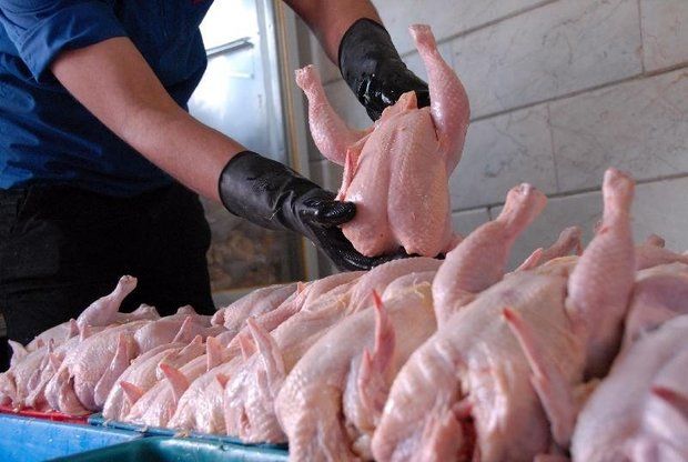 توزیع مرغ ۲۸ هزار و ۵۰۰ تومانی در بازار/ روند قیمت‌ مرغ کاهشی شد