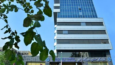  دولت در انتخابات رئیس اتاق بازرگانی دخالت کرد/ رای دهندگان با اکراه در انتخابات شرکت می کنند