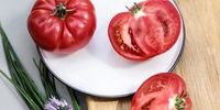 تأثیر شگفت انگیز گوجه فرنگی در پیشگیری از این بیماری مرگبار

