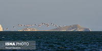 دریاچه ارومیه از بدبختی تا خوشبختی !  + عکس