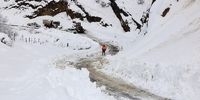 هشدارهای مهم هواشناسی به کشاورزان/ کولاک برف در ۸ استان