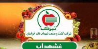 گام مهم در مسیر تجدید ارزیابی غشهداب