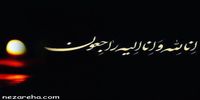 علی بهرامی فرد درگذشت/ او که بود؟