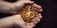 سقوط آزاد قیمت بیت کوین در یک روز
