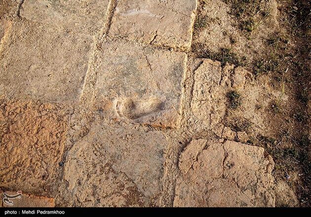 image22