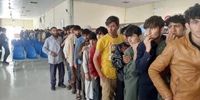 پارادوکس راهکار جلوگیری از مهاجرت در ایران و پاکستان!