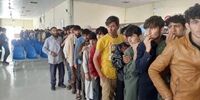 پارادوکس راهکار جلوگیری از مهاجرت در ایران و پاکستان!