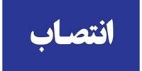 انتصاب تازه در وزارت نفت