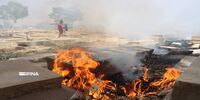 2هزار متر مربع از آرامگاه تاریخی شیراز طعمه حریق شد