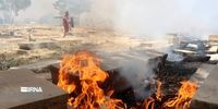 2هزار متر مربع از آرامگاه تاریخی شیراز طعمه حریق شد