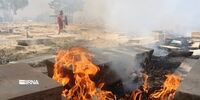 2هزار متر مربع از آرامگاه تاریخی شیراز طعمه حریق شد