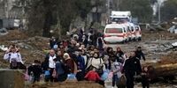 چچن اولین گروه پناهجویان فلسطینی را پذیرفت