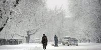 برف و سرمای شدید جان ده‌ها نفر را گرفت