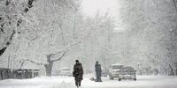 برف و سرمای شدید جان ده‌ها نفر را گرفت