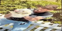 تصاویری از خانه چند میلیون دلاری دیوید بکهام برای مرغ و خروس‌هایش