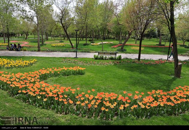 جشنواره گل ها در مشهد