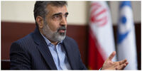 کمالوندی: بازرسی‌های اخیر با اجازه شورای‌عالی امنیت ملی بود