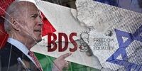 استیصال بایدن در بحران فلسطین؛  نه راه انکار نه توان حل منازعه