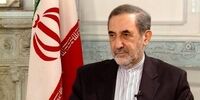 پیام ولایتی به محسن رضایی 