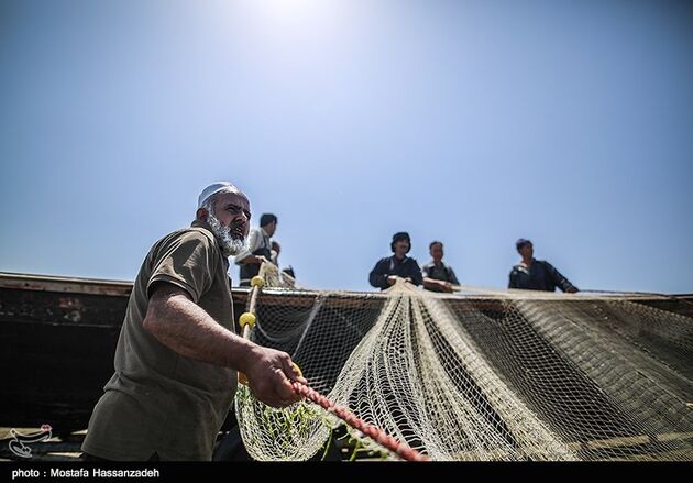 پایان فصل صید ماهی در میانکاله