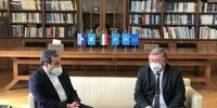 اولیانوف با عراقچی دیدار کرد