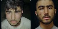 یک عضو مهم داعش بازداشت شد