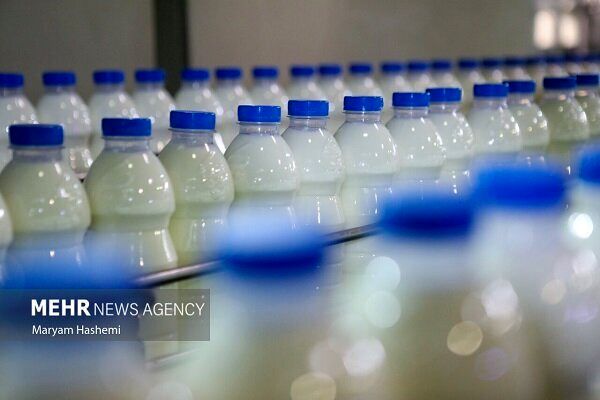 گرانی بی سابقه در بازار کالاهای اساسی / تخم‌مرغ و لبنیات مسابقه گذاشتند! + جدول قیمت‌ها