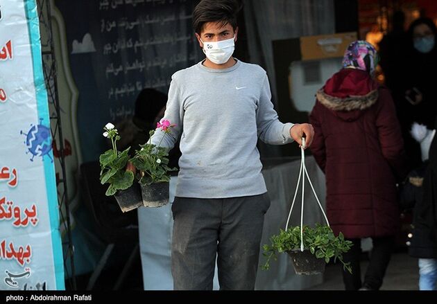 نمایشگاه گل همدان