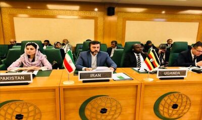 برگزاری نشست کارشناسان اجلاس اضطراری وزرای خارجه سازمان همکاری اسلامی