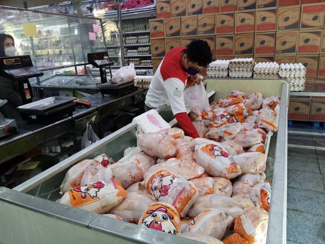 قیمت مرغ در تهران ارزان شد