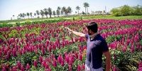 تصاویر| ردپای بهشت در غرب ایران