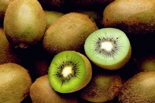 این میوه فصل سرما، برای رفع یبوست معجزه می کند