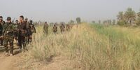 عملیات مشترک ارتش و الحشدالشعبی عراق در جنوب سامرا