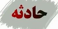 مرگ غم‌انگیز کودک ۴ ساله در فضای سبز + فیلم