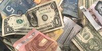 قیمت درهم امارات و ریال عمان در سرازیری؛ لیر ترکیه عقب نشست/ عراق مشتری پروپاقرص این محصول ایرانی شد