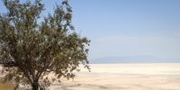 فقط ۴درصد از دریاچه ارومیه باقی مانده!