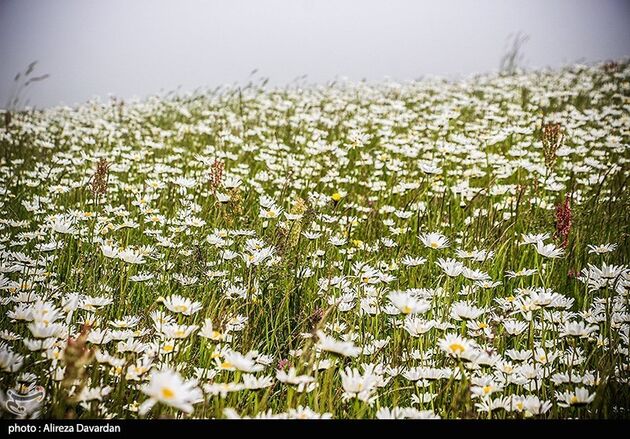 image10