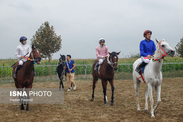 62078900_hadiseh-pasandi-15