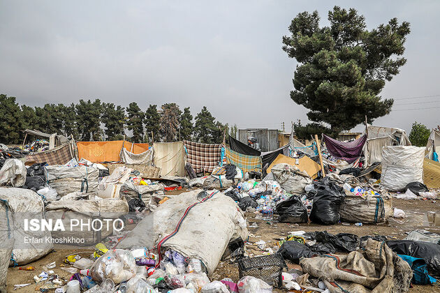 61469420_Erfan-Khoshkhoo-0410