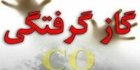 قاتل خاموش جان 2 جوان را گرفت/ وضعیت وخیم 3 مصدوم دیگر