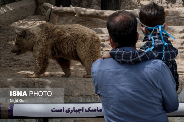 بازدید از باغ وحش ارم رایگان شد