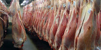 قیمت گوشت قرمز گوسفندی امروز 8 تیر 1401