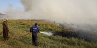 آتش‌سوزی تالاب هشیلان کرمانشاه مهار شد