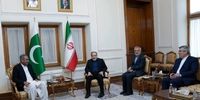 دیدار مجدد وزیر کشور پاکستان با عراقچی/ علت چه بود؟