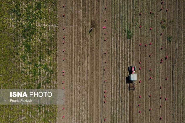 62351820_DJI_0183
