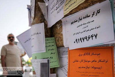 نرخ بیکاری زنان جوان به مرز ۳۵ درصد رسید / زنگ خطر در بازار کار جوانان+ نمودار