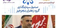 پیشگیری از خام فروشی زعفران با صندوق‌ سرمایه‌ گذاری گروه زعفران سحرخیز