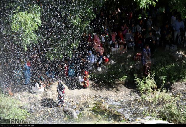 جشنواره توت فرنگی روستای شیان