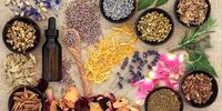 اگر  از چاقی رنج می برید، این گیاهان را بخورید