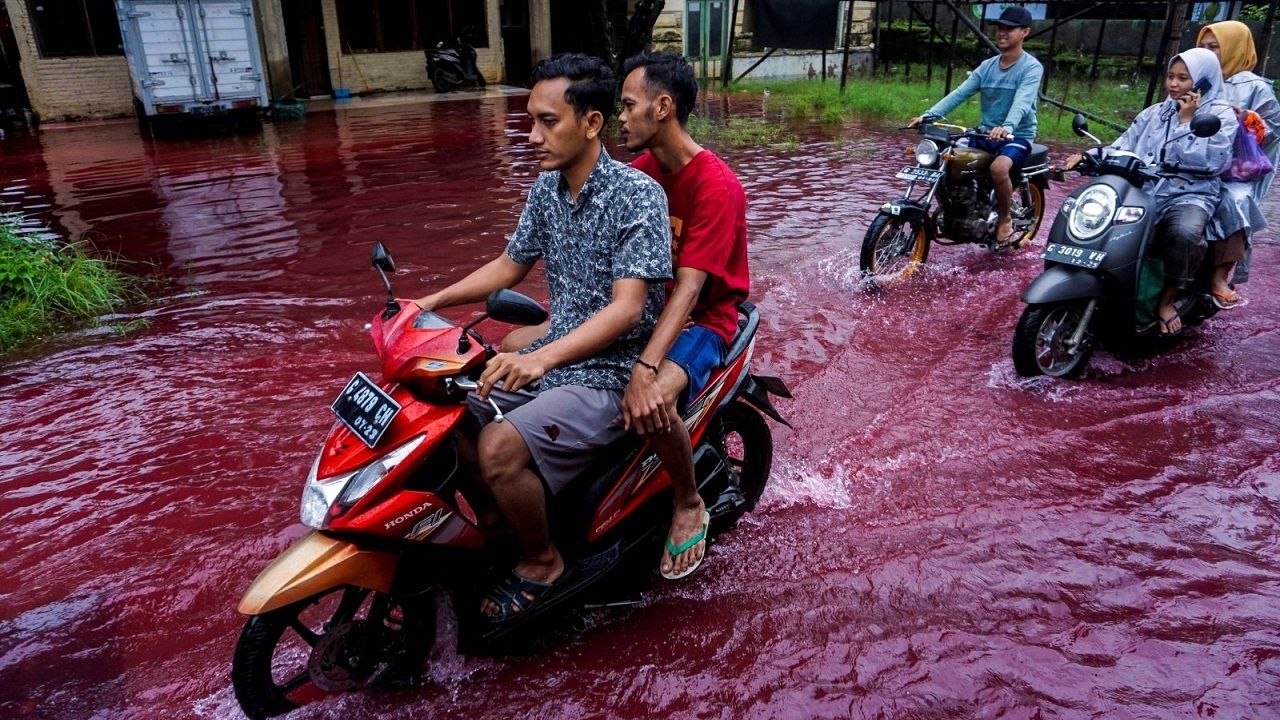 سیل خون در اندونزی جاری شد+ تصاویر